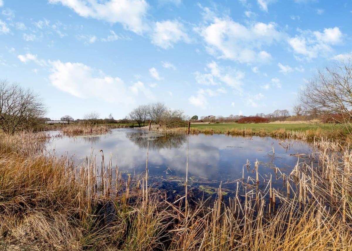 Eden Lodge Retreat Crosby  Esterno foto